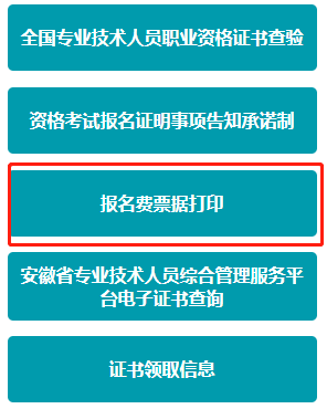2022年下半年安徽软考报名费发票
