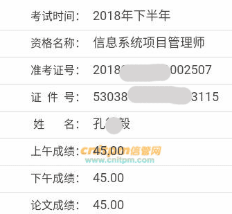 信息系统项目管理师成绩