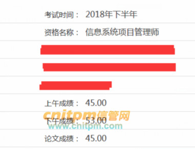 信息系统项目管理师成绩