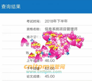信息系统项目管理师成绩