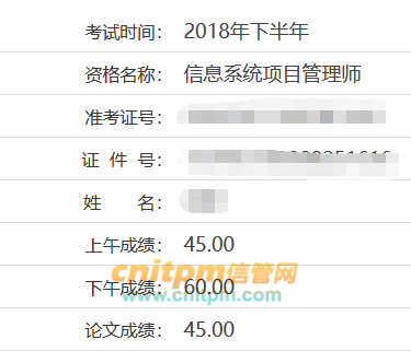 信息系统项目管理师成绩